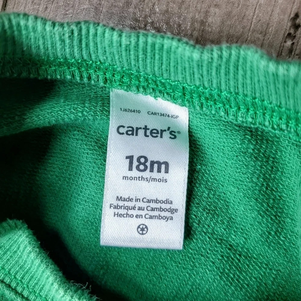 Carter's Green T-Rex Dinosaur Fleece Pullover Sweatshirt Boys Size 18m EUC